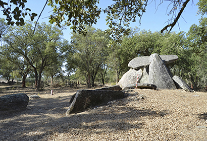 anta saragonheiros002