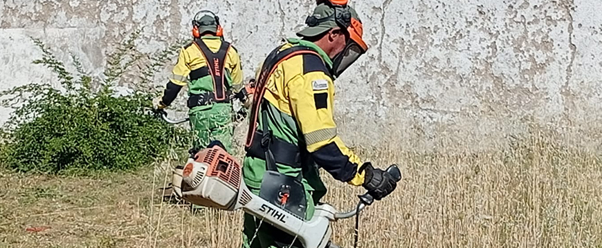 Limpeza nas instalações da Segurança Social limpeza ss