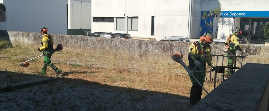 Limpeza do Tribunal de Nisa e da Barca d'Amieira sapadores tribunal