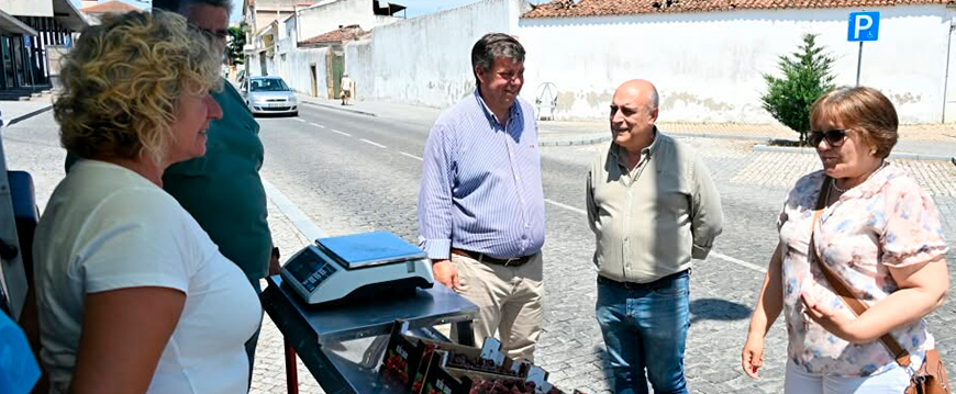 Feira das Cerejas em Nisa feira cerejas1