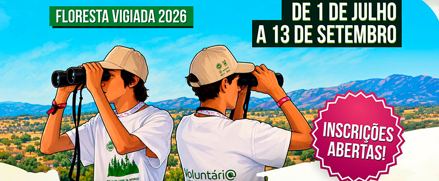 floresta vigiadap