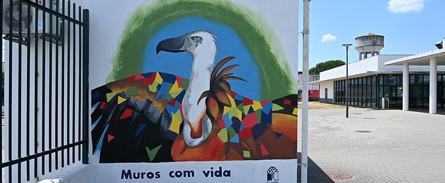 Muros com Vida em Nisa muros c vida